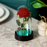 Rosa Eterna na Cúpula de Cristal – Um Presente Mágico e Inesquecível!